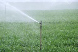 Irrigation Systems