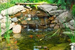 Water Features and Ponds